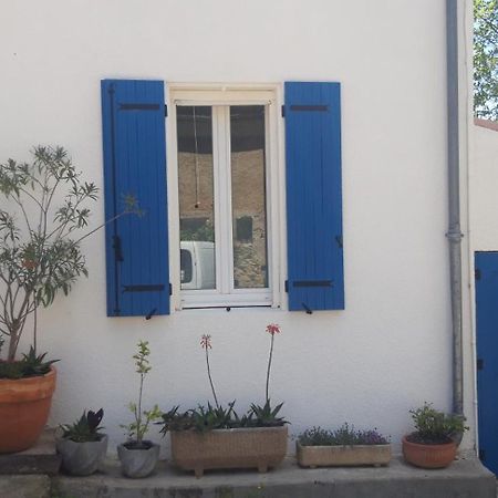 Maison Occitane Saint-Nazaire-d'Aude Dış mekan fotoğraf